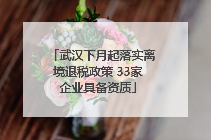 武汉下月起落实离境退税政策 33家企业具备资质