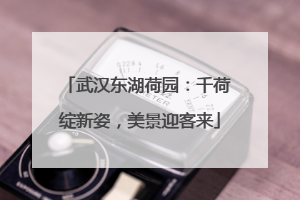 武汉东湖荷园：千荷绽新姿，美景迎客来