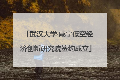 武汉大学·咸宁低空经济创新研究院签约成立