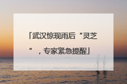 武汉惊现雨后“灵芝”，专家紧急提醒