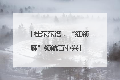 桂东东洛：“红领雁”领航百业兴
