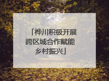 桦川积极开展跨区域合作赋能乡村振兴