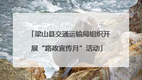 梁山县交通运输局组织开展“路政宣传月”活动