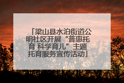 梁山县水泊街道公明社区开展“普惠托育 科学育儿”主题托育服务宣传活动