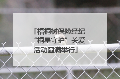 梧桐树保险经纪“桐星守护”关爱活动圆满举行