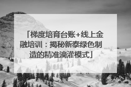 梯度培育台账+线上金融培训：揭秘新泰绿色制造的精准滴灌模式