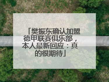樊振东确认加盟德甲联赛俱乐部，本人最新回应：真的很期待