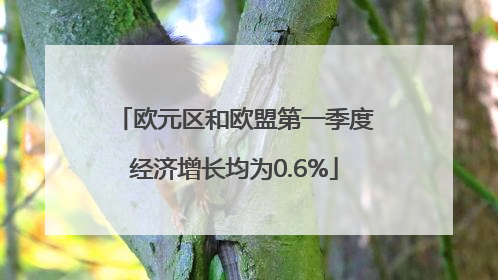 欧元区和欧盟第一季度经济增长均为0.6%