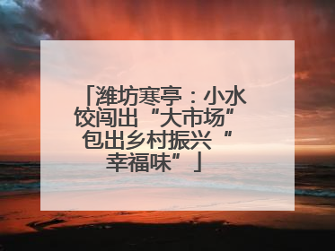 潍坊寒亭：小水饺闯出“大市场” 包出乡村振兴“幸福味”