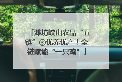 潍坊峡山农品“五链”③优养优产！全链赋能“一只鸡”