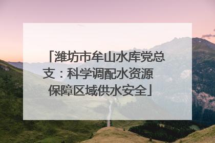 潍坊市牟山水库党总支：科学调配水资源 保障区域供水安全
