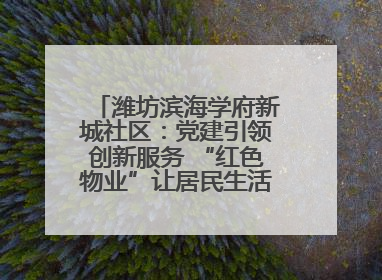 潍坊滨海学府新城社区：党建引领创新服务 “红色物业”让居民生活“幸福满格”