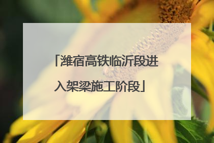 潍宿高铁临沂段进入架梁施工阶段