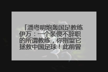 潘粤明炮轰国足教练伊万：一个装傻不辞职的所谓教练，你指望它拯救中国足球！此前曾多次发文评价国足