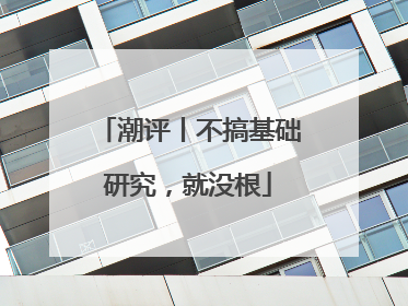 潮评丨不搞基础研究，就没根
