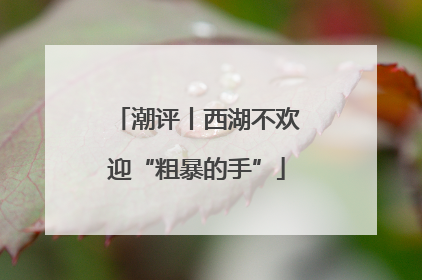 潮评丨西湖不欢迎“粗暴的手”