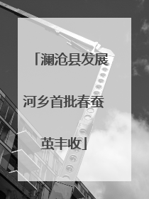澜沧县发展河乡首批春蚕茧丰收