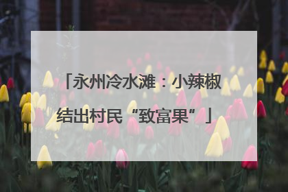 永州冷水滩：小辣椒结出村民“致富果”