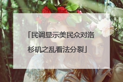 民调显示美民众对洛杉矶之乱看法分裂