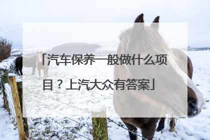 汽车保养一般做什么项目？上汽大众有答案