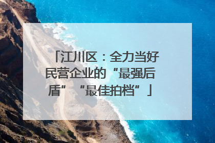 江川区：全力当好民营企业的“最强后盾”“最佳拍档”