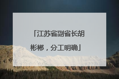 江苏省副省长胡彬郴，分工明确