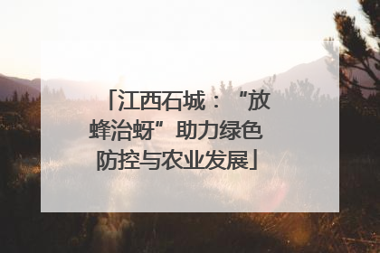 江西石城：“放蜂治蚜”助力绿色防控与农业发展