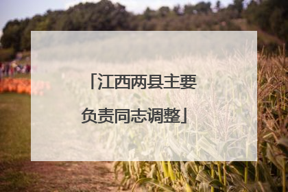 江西两县主要负责同志调整