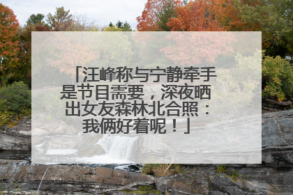汪峰称与宁静牵手是节目需要，深夜晒出女友森林北合照：我俩好着呢！