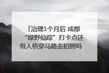 治理1个月后 成都“绿野仙踪”打卡点还有人横穿马路去拍照吗？｜民情瞭望