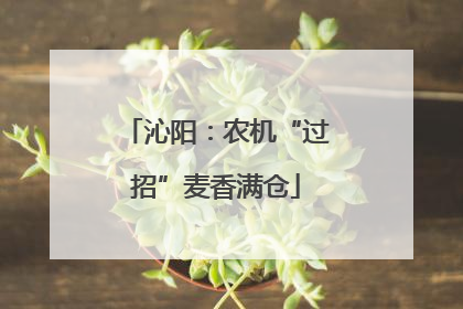 沁阳：农机“过招”麦香满仓