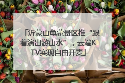沂蒙山龟蒙景区推“跟着演出游山水”，云端KTV实现自由开麦
