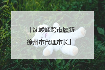 沈峻峰跨市履新徐州市代理市长