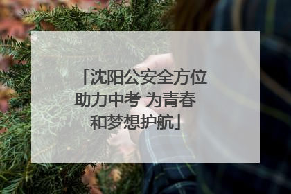 沈阳公安全方位助力中考 为青春和梦想护航