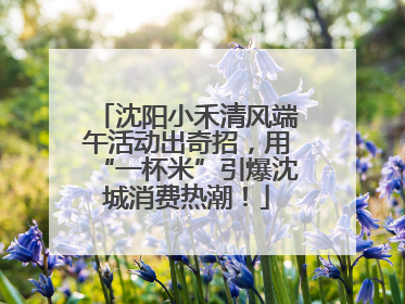沈阳小禾清风端午活动出奇招，用“一杯米”引爆沈城消费热潮！
