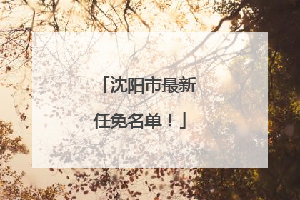 沈阳市最新任免名单！