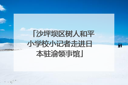 沙坪坝区树人和平小学校小记者走进日本驻渝领事馆