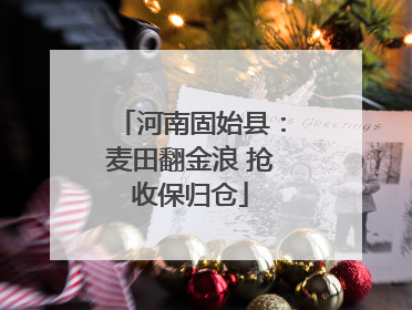 河南固始县：麦田翻金浪 抢收保归仓