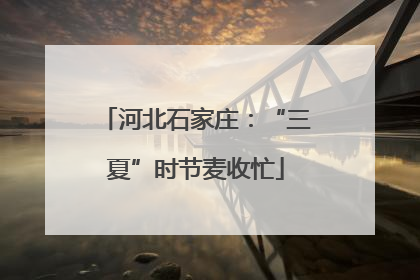 河北石家庄：“三夏”时节麦收忙