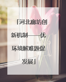 河北廊坊创新机制——优环境解难题促发展