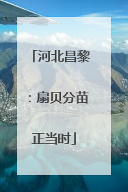 河北昌黎：扇贝分苗正当时