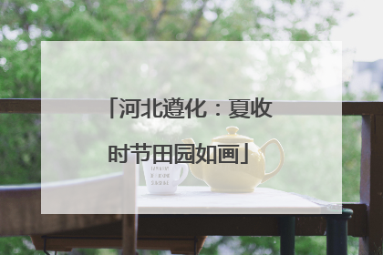 河北遵化：夏收时节田园如画