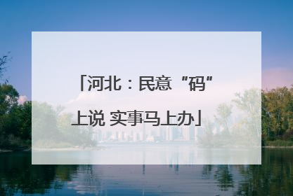 河北：民意“码”上说 实事马上办