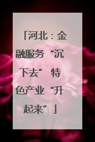 河北：金融服务“沉下去” 特色产业“升起来”