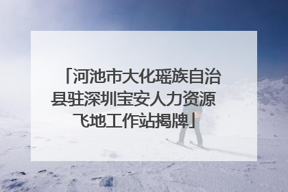 河池市大化瑶族自治县驻深圳宝安人力资源飞地工作站揭牌