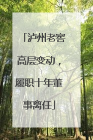泸州老窖高层变动，履职十年董事离任
