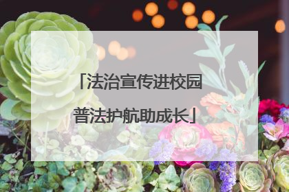 法治宣传进校园 普法护航助成长