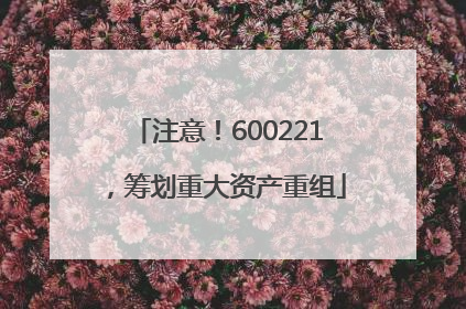 注意！600221，筹划重大资产重组