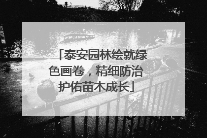 泰安园林绘就绿色画卷，精细防治护佑苗木成长