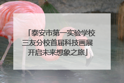 泰安市第一实验学校三友分校首届科技画展开启未来想象之旅